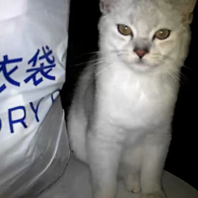 Sunny 的 X 头像